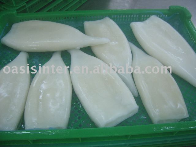Todarodes squid tube