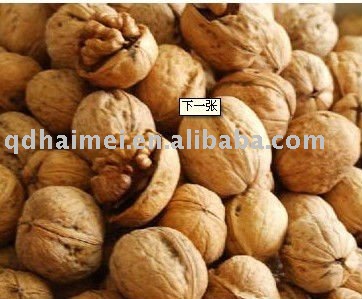 fresh walnut