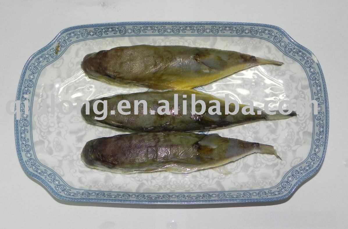 frozen fish( fugu )