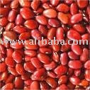 kidney bean