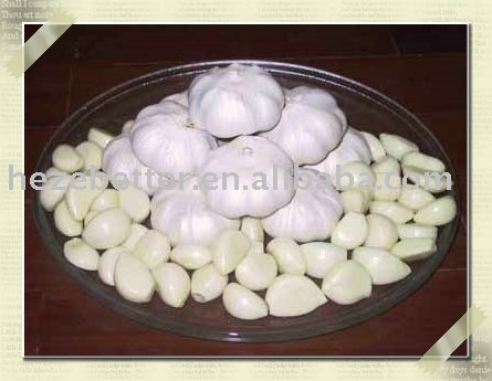 Pure Garlic,2011 crop