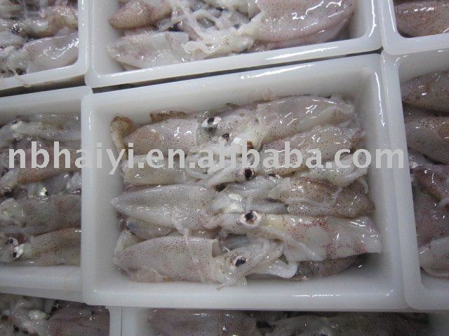 frozen baby squid