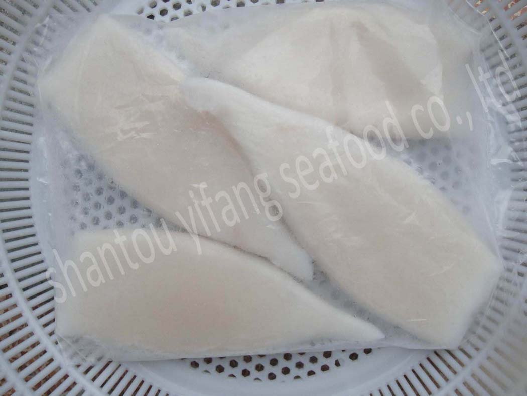 Illex squid