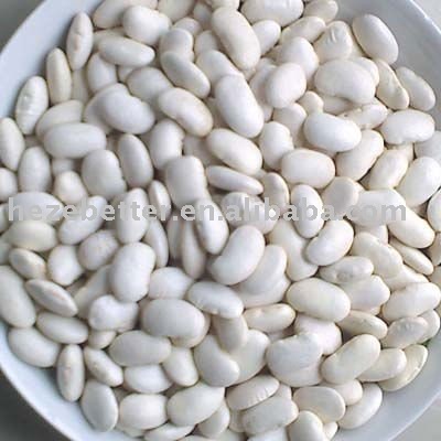  middle   white   kidney   bean s