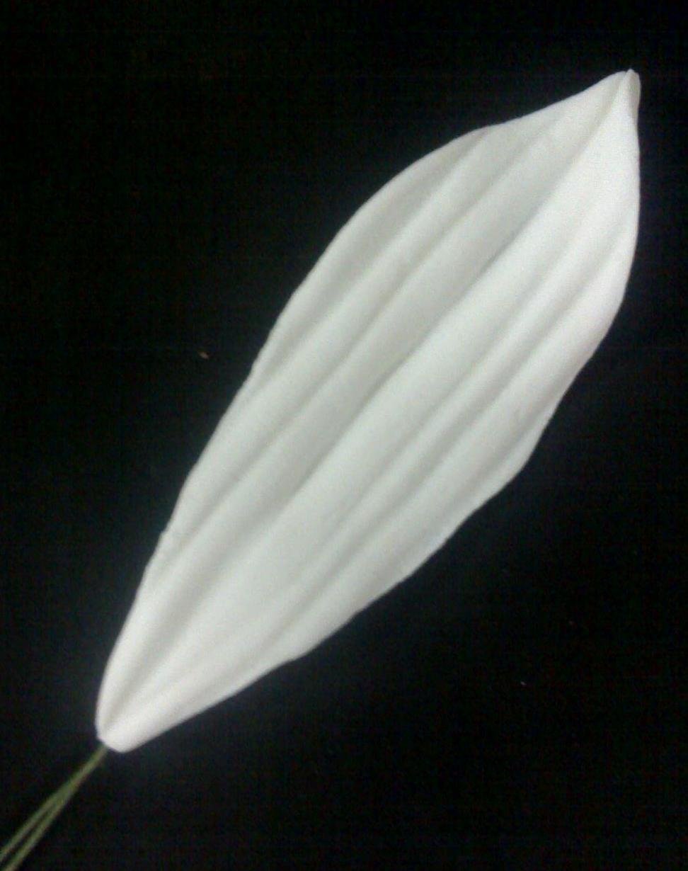 Lily Leaf White