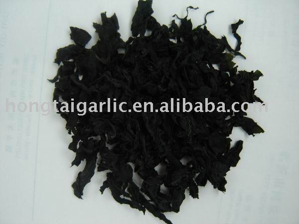  Cut   Wakame 