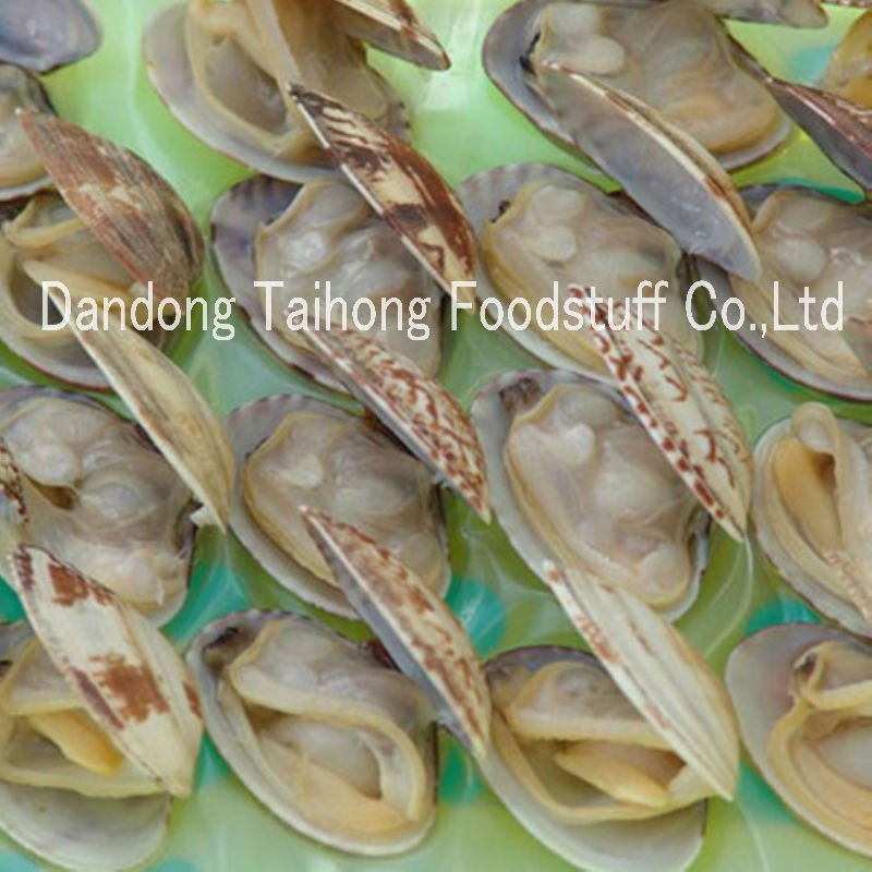  Frozen   Aquatic  product