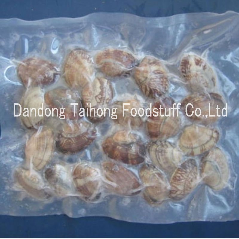  Frozen   shell ed mollusks meat