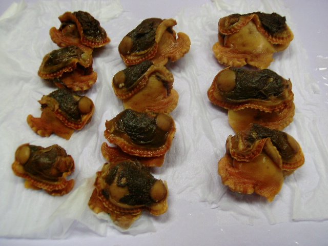 Frozen Boiled Bloody Clam Meat