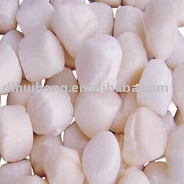 frozen scallops adductor