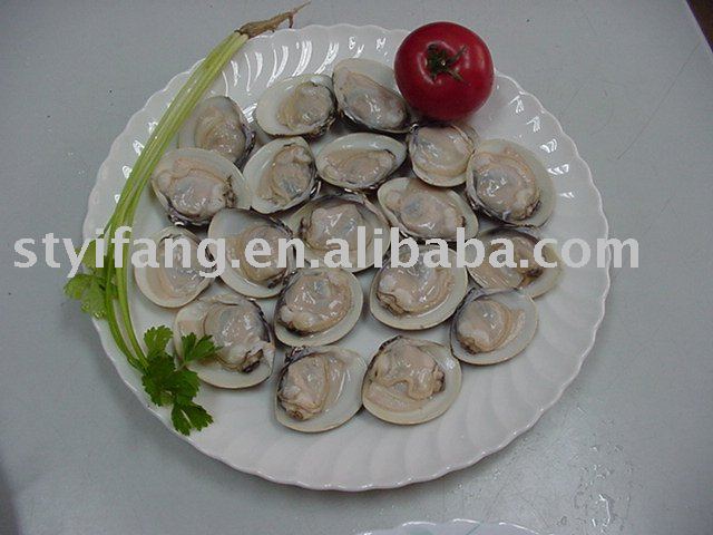 HALF SHELL CLAM