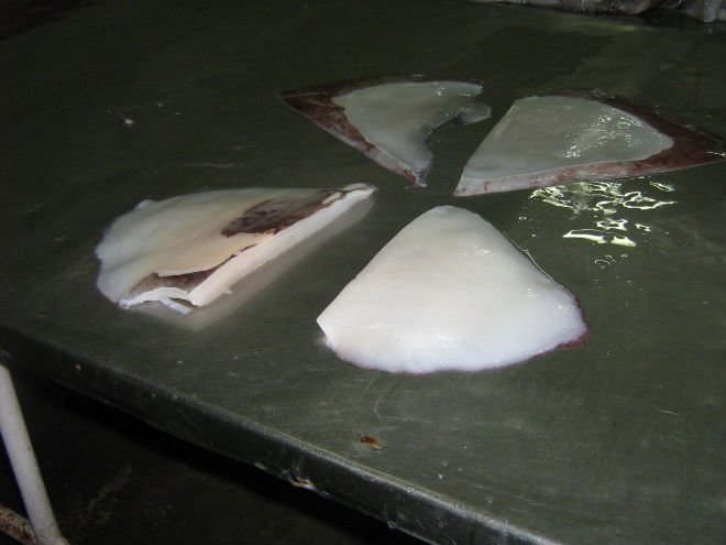 Frozen boiled giant squid wings