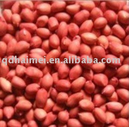  peanuts  in  red   shell 