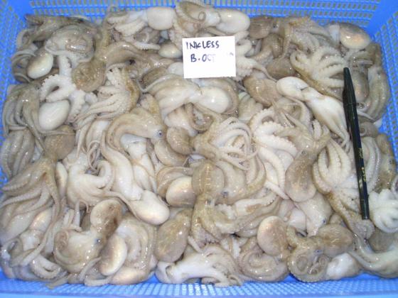 Frozen  Seafood,