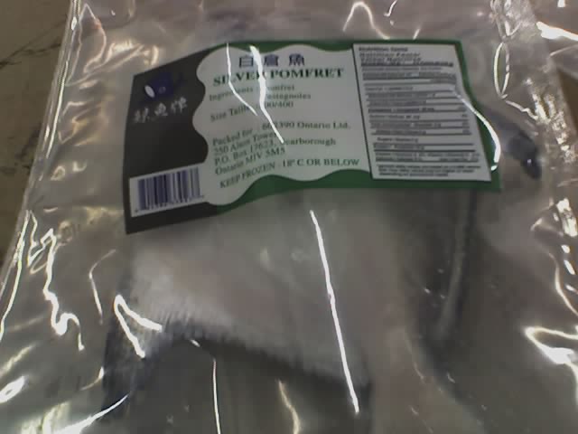 Frozen Silver Pomfrets