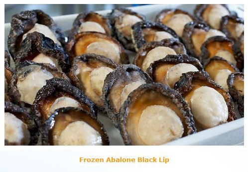 Abalone