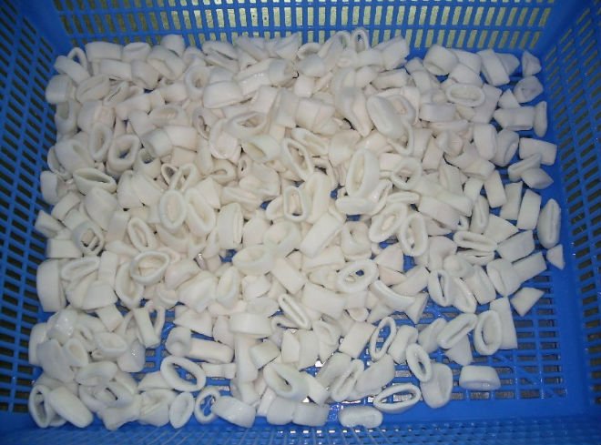 Frozen squid ring IQF