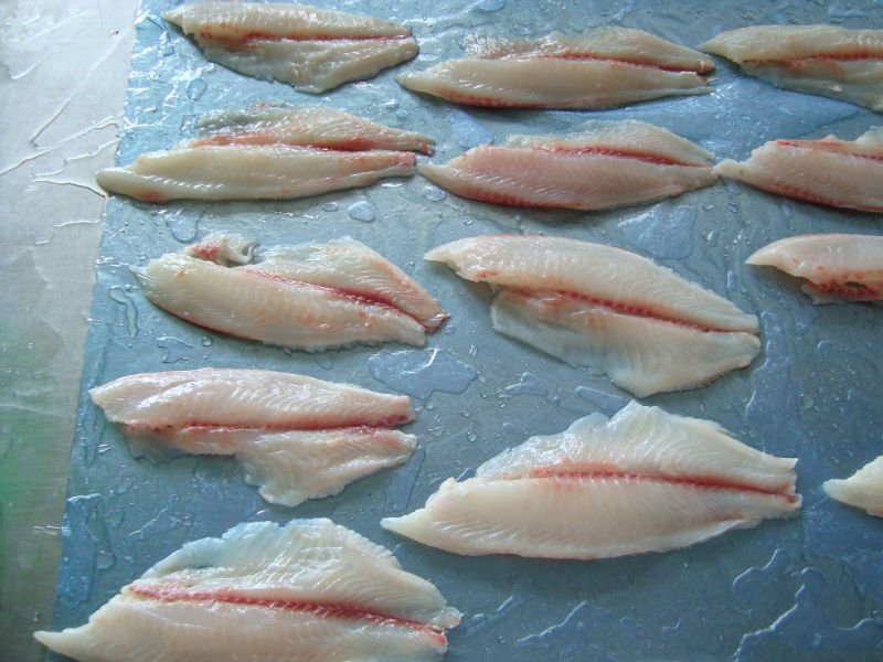 TILAPIA   FILLET   SKINLESS , BONELESS, RED MEAT ON TRIMMING