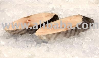 KINGFISH