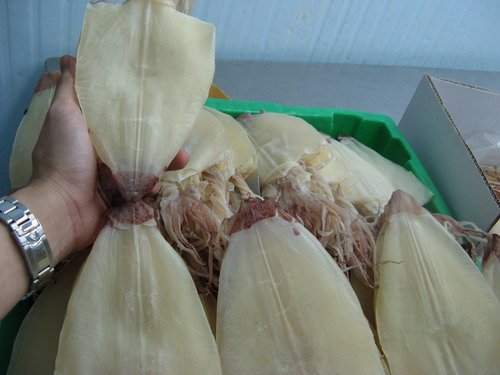 Dried squid