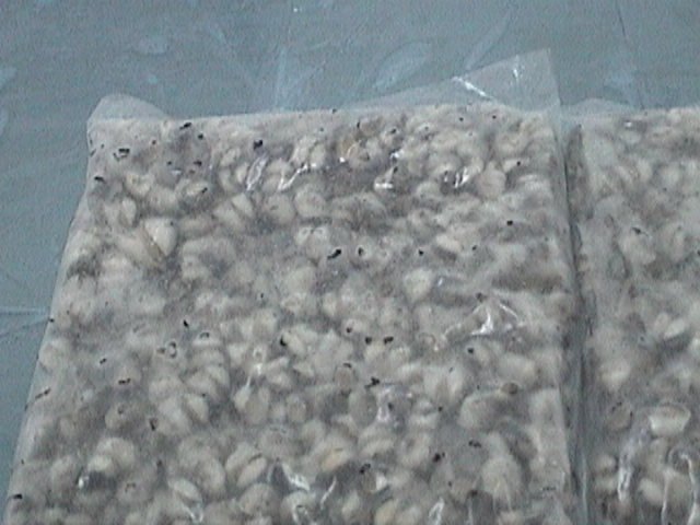 Top-Shell