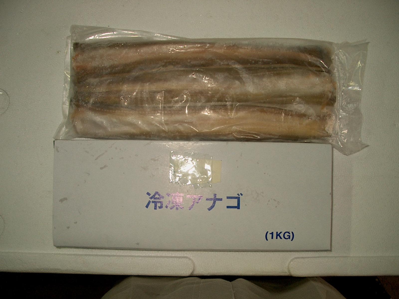 Frozen Whitespotted Conger