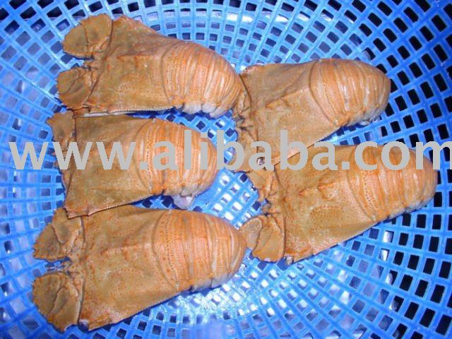 Slipper Lobster frozen,shrimp(black tiger,vannamei),fish(leather jacket,black pomfret,red snapper).c