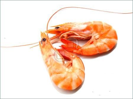 shrimp shells