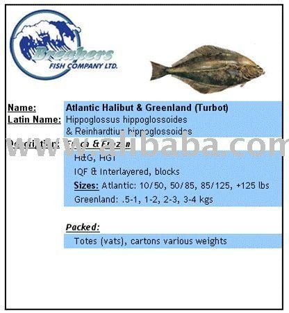 Atlantic Halibut
