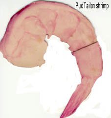 Pud Taion