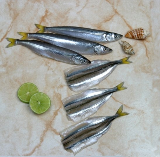 Smelt