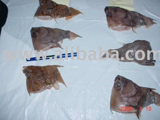 Yellowtail Flounder Heads