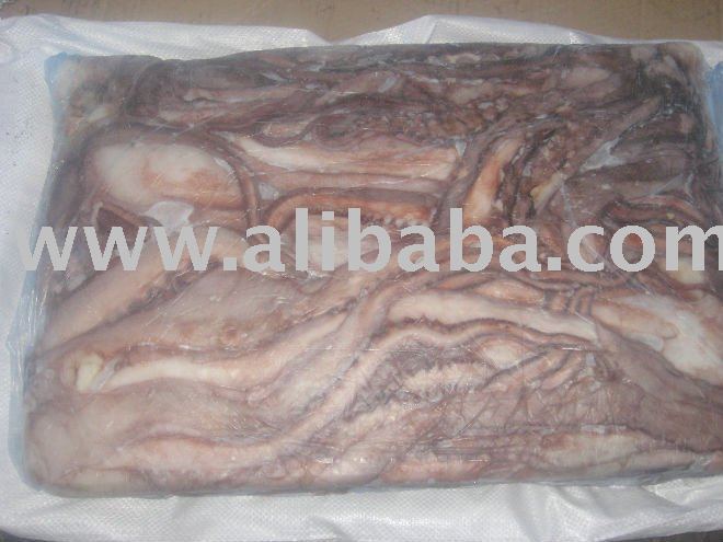 Giant Squid Tentacles