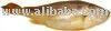 Yellow Croaker