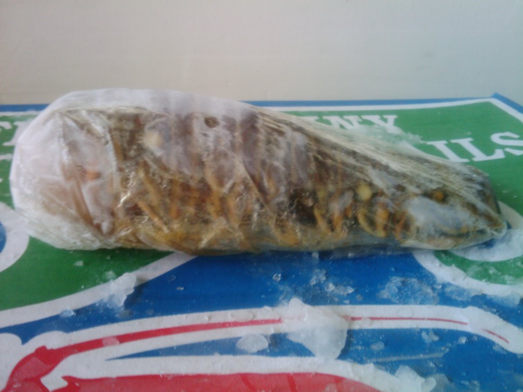 LOBSTER TAIL