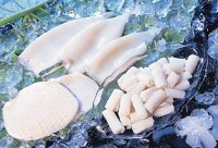 Illex Squid,W/R,tube,carving,t&t