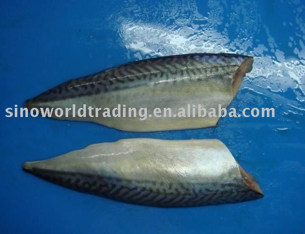  frozen   Norway   Mackerel  fillets
