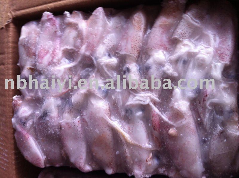 (5-7cm) frozen squid
