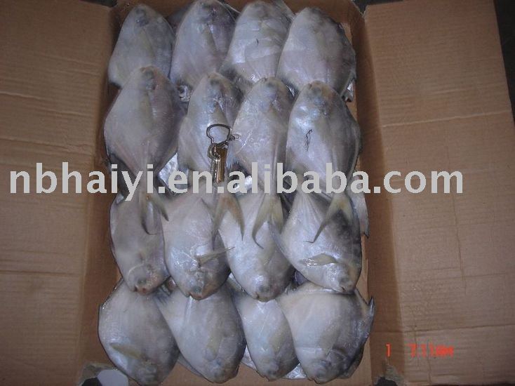 silver pomfret (110-130g)