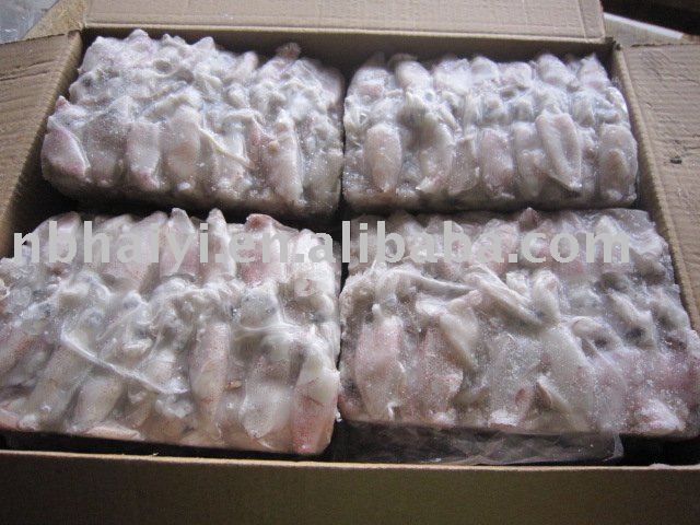 frozen squid (3-5cm)