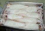 squid ring, frozen squid ring, squid