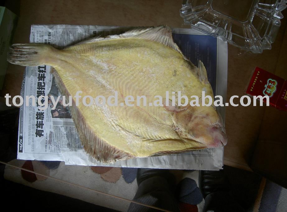 Stone Flounder