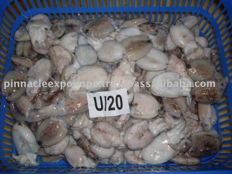 FROZEN CUTTLEFISH