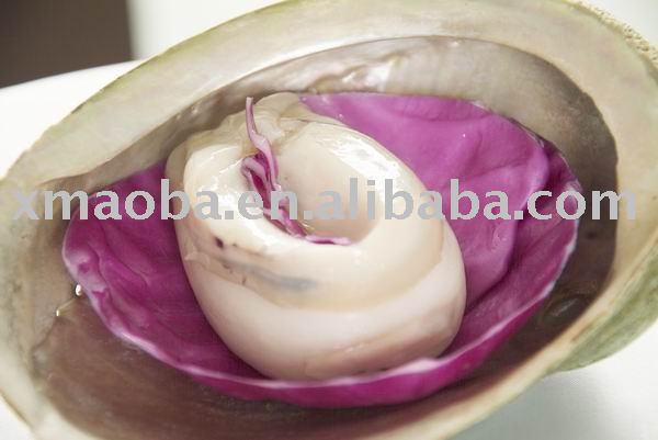 Chile Abalone