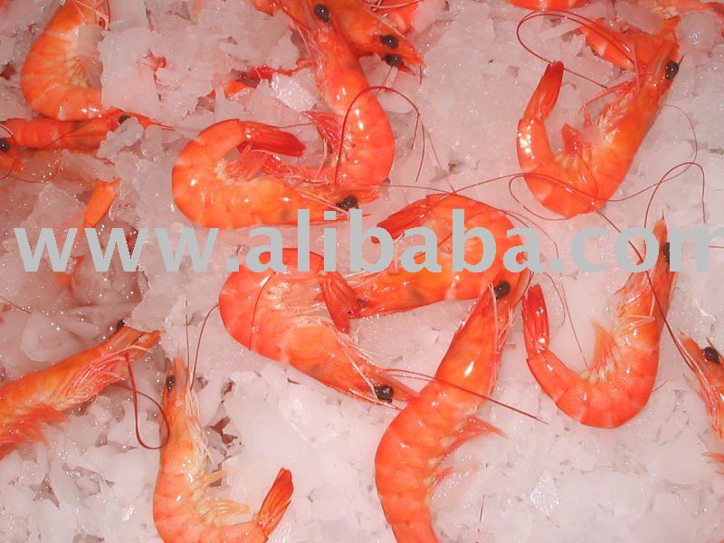 Vannamei Shrimp