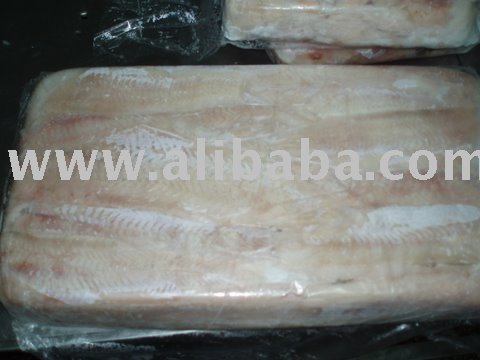 Hake Filets (Merluccius Hubbsi) Argentine