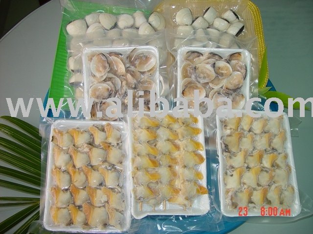  Frozen   Clam :  Frozen   Cooked   Clam   Meat ,  Frozen  Boiled  Clam 