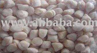 Frozen Scallop Adductors (IQF Or Brick Iced)