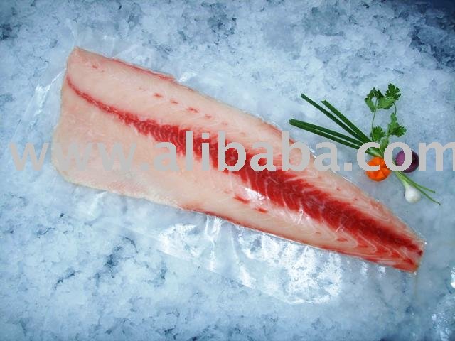 Cobia