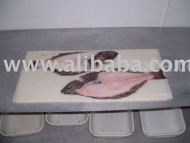 Greenland Halibut Head With Frame Attached